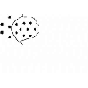 Click para ampliar. Pulsa en el nombre para ver la ficha. Fig. d